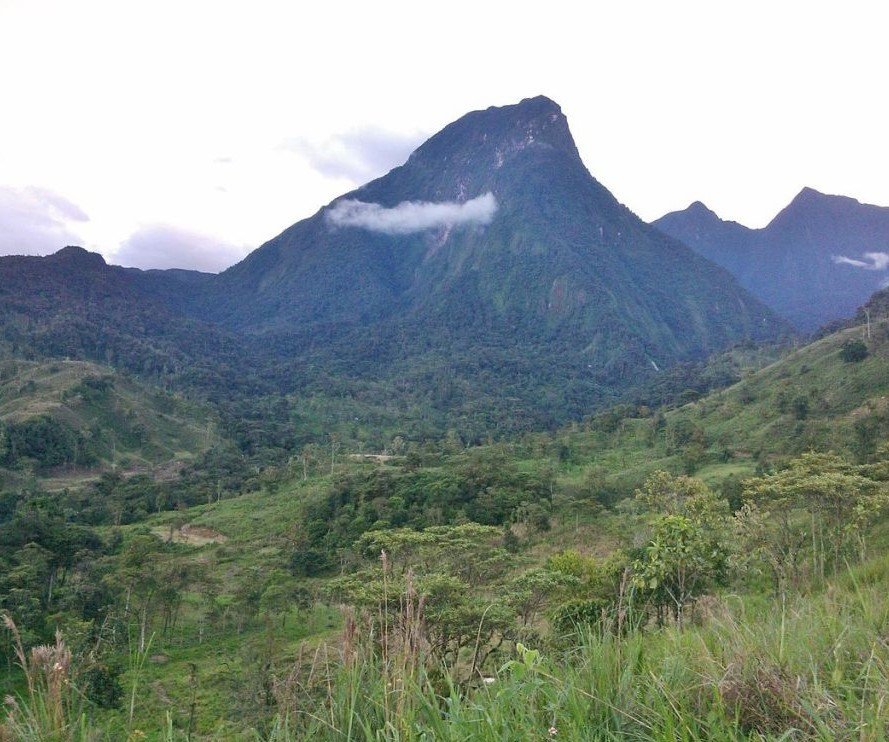 Cerro Pan de Azúcar