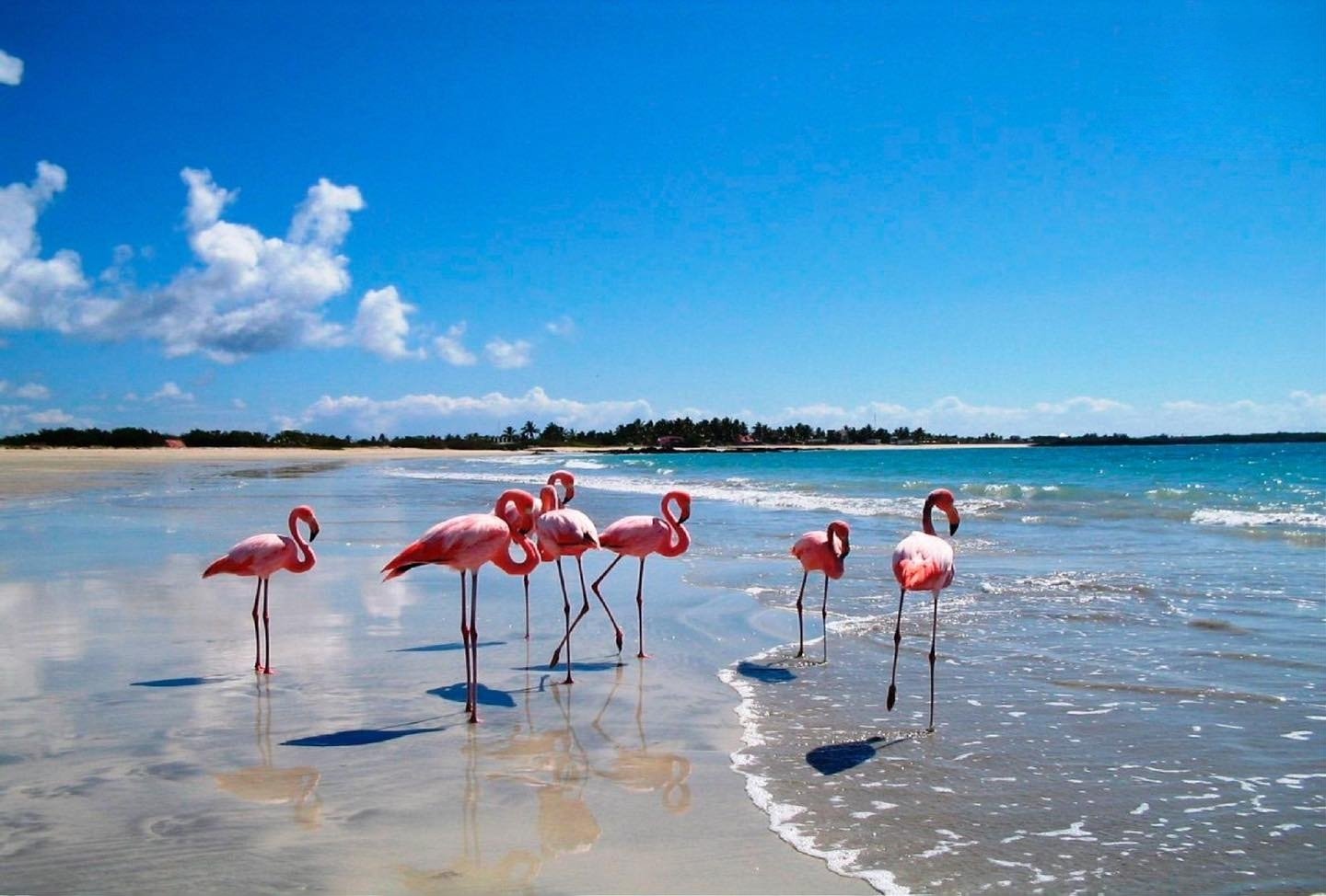 Playa el Garrapatero